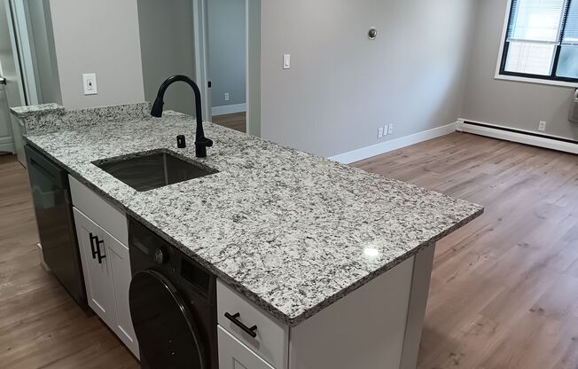1 bed, 1 bath, $1,250, Unit 313