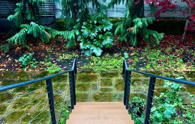 Studio, 1 bath, 264 sqft, $995, Unit 2