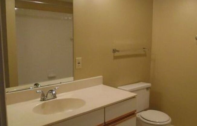 1 bed, 1 bath, 775 sqft, $1,301, Unit 1110LpC