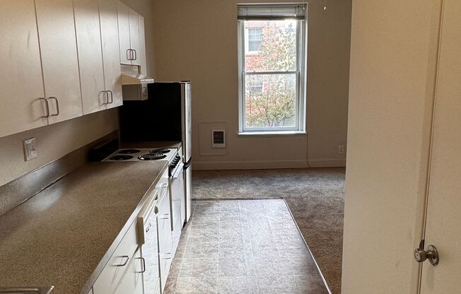 Studio, 1 bath, 240 sqft, $850, Unit 207