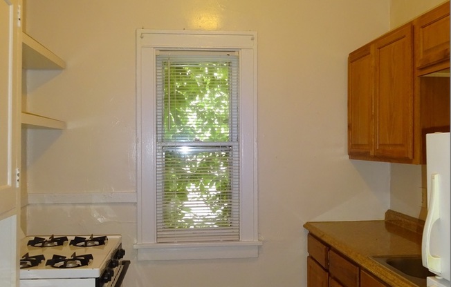 1 bed, 1 bath, 620 sqft, $950, Unit 201