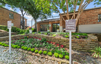 Vine on North Park | Grapevine, TX