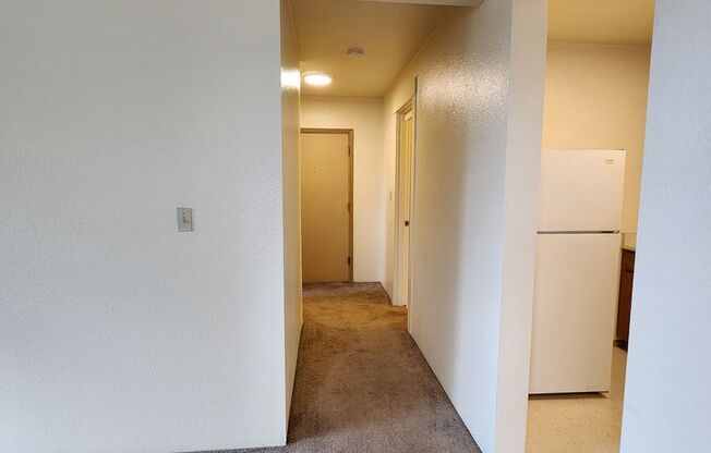 Studio, 1 bath, 415 sqft, $1,000, Unit 213