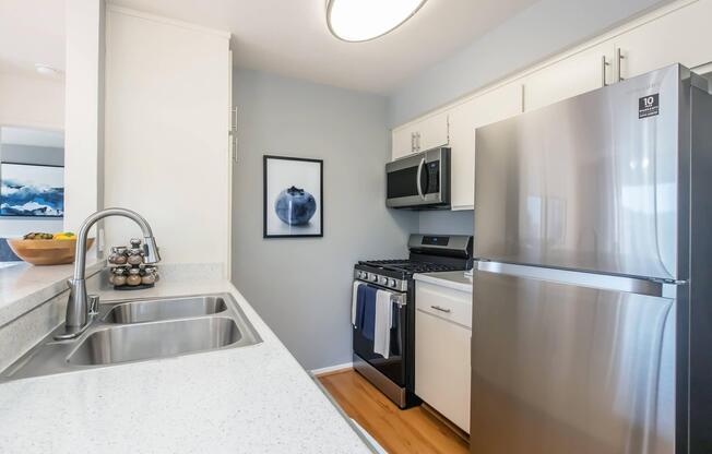 A modern kitchen featuring stainless steel appliances, including a refrigerator and oven. The countertops are light-colored with a dual sink. A framed blueberry print hangs on the wall, and there is a bowl of fruit on the counter, enhancing the inviting atmosphere. Wood flooring adds warmth to the space.