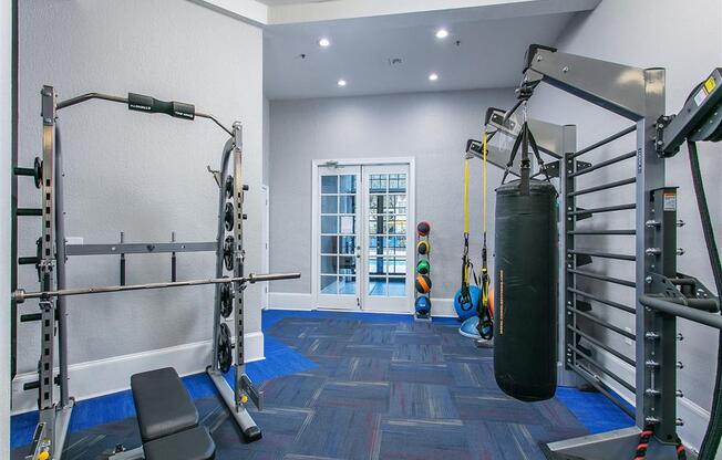 Alvista Metrowest Fitness Center Strength Equipment