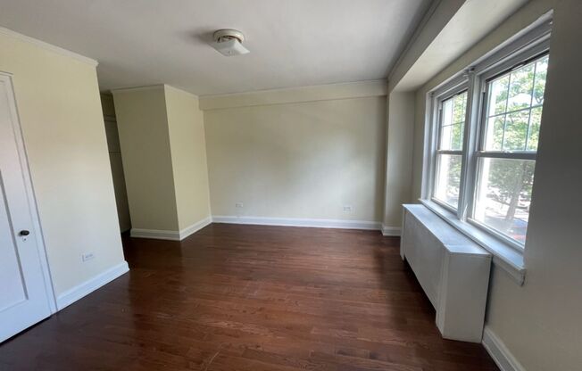 Studio, 1 bath, 301 sqft, $1,350, Unit Wellington 204