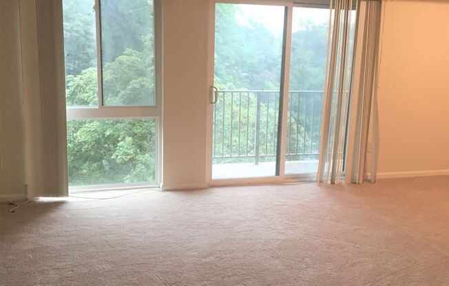 1 bed, 1 bath, $1,650