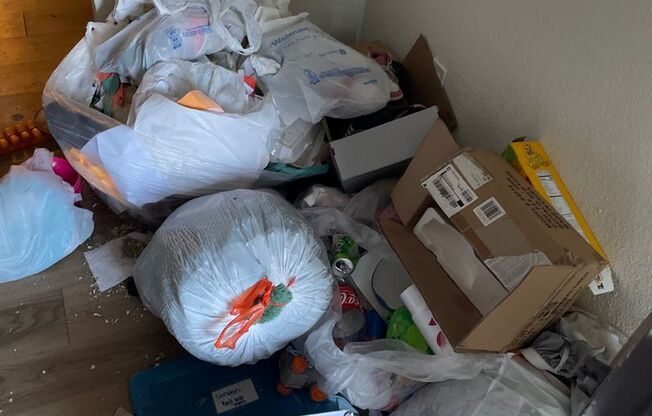 Studio, 1 bath, 285 sqft, $599, Unit C 375