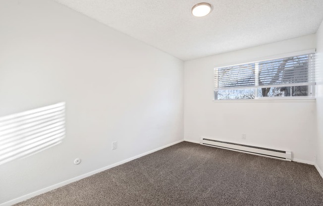 an empty living room with carpet and a window