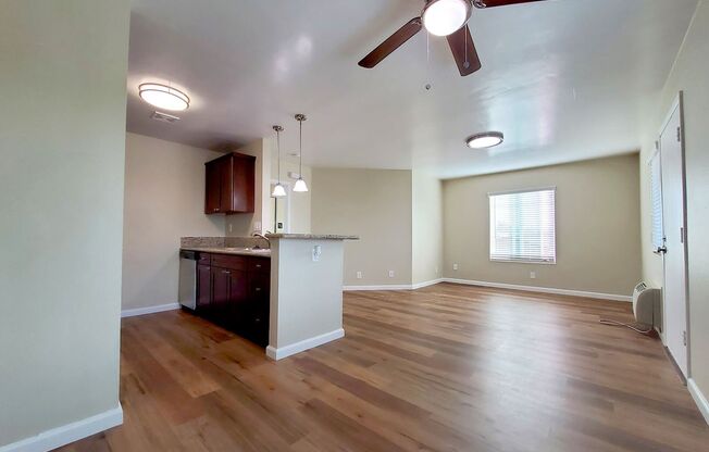 1 bed, 1 bath, 600 sqft, $1,995, Unit 203