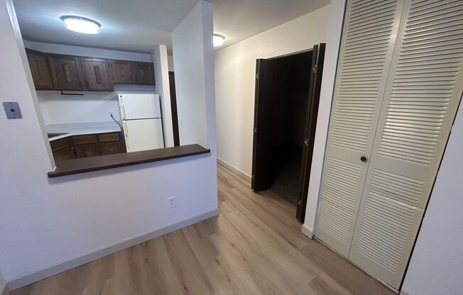 1 bed, 1 bath, $1,145, Unit 308