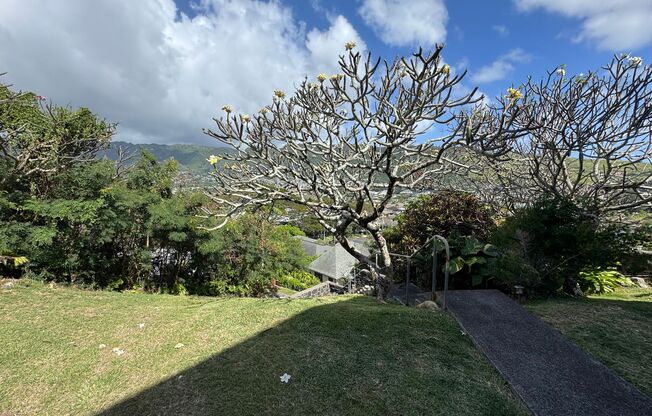 Private Manoa One Bedroom Unit with a beautiful valley view (420 sq ft)
