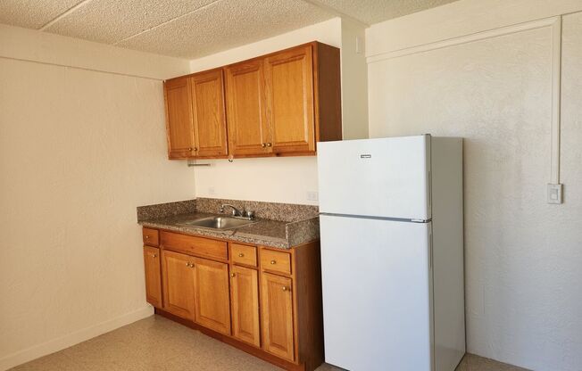 Studio, 1 bath, 217 sqft, $800, Unit 502-B