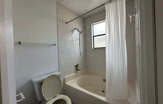 Studio, 1 bath, 432 sqft, $895, Unit 120
