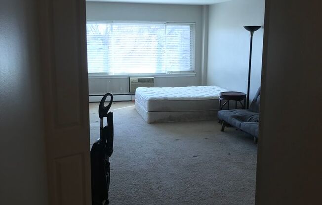 Studio, 1 bath, 470 sqft, $1,045, Unit 306