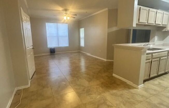 1B/1B Plus a Den! Ground Floor Unit - Pinnacle at Carrollwood! AVAILABLE NOW!