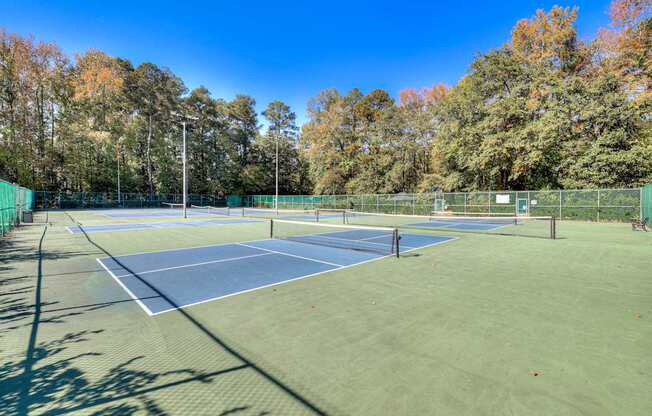 two tennis courts with trees in the background on a sunny day
