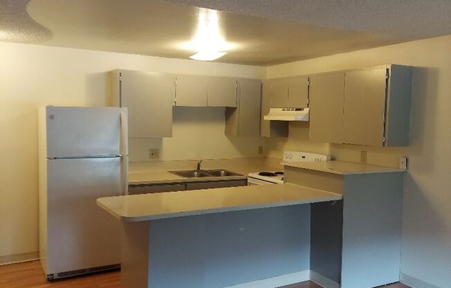 1 bed, 1 bath, 576 sqft, $1,295, Unit 3