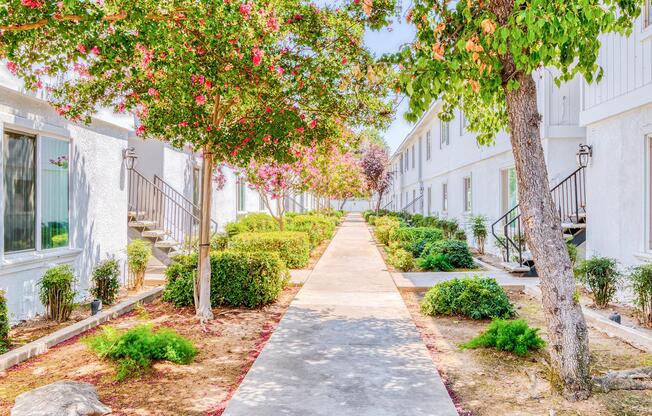 Community Sidewalk with Trees.jpg