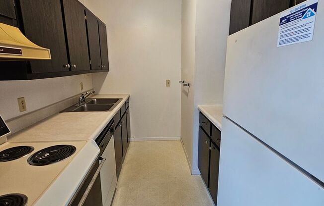 1 bed, 1 bath, 500 sqft, $695, Unit #8