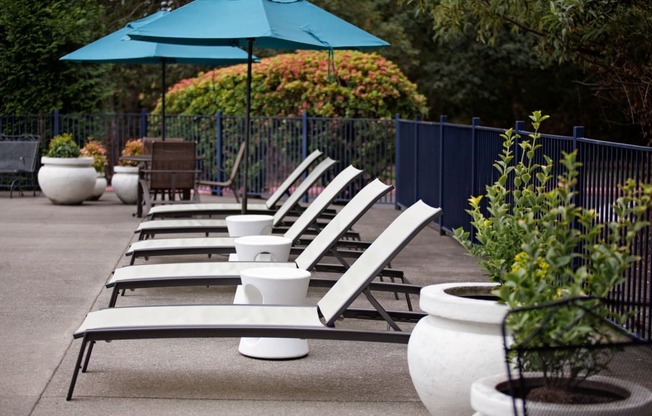 Clermont Poolside Lounge Chairs