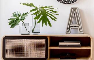 a shelf with a plant and two water glasses on it at Monroe Avenue Apartments, Salem