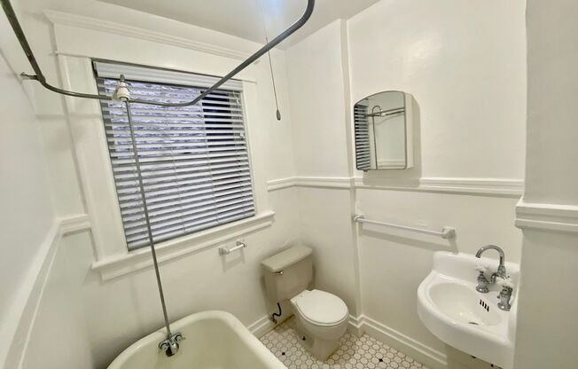 Studio, 1 bath, 400 sqft, $1,149, Unit 207