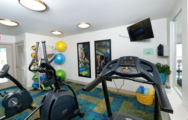 Gym at Watermark Apartments in Lakeland, Fl with exercise balls, yoga mats, cardio machines, and television and mirrors on wall.