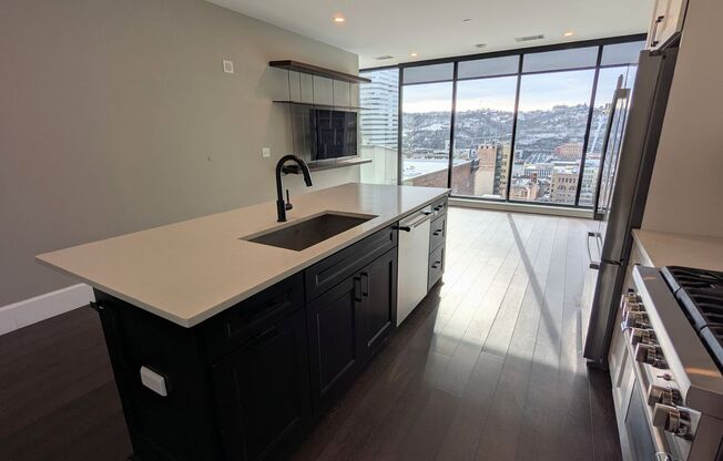 1 Bedroom 1 Bathroom Condo in Downtown Pittsburgh