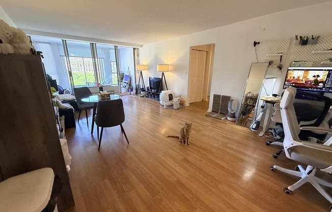 1 bed, 1 bath, 870 sqft, $3,050, Unit 820