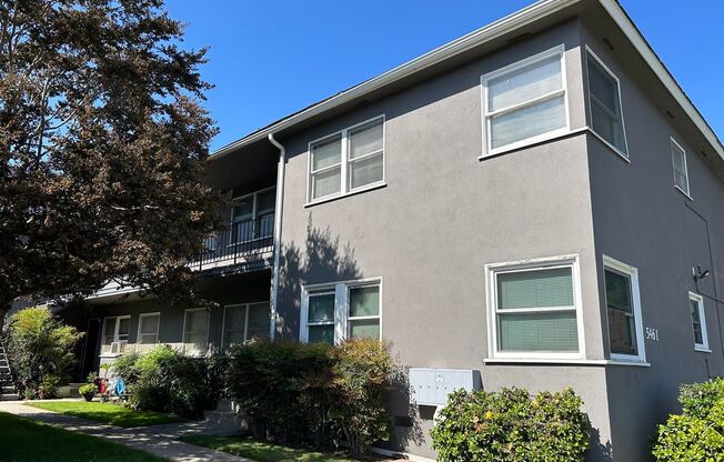 1 bed, 1 bath, 510 sqft, $1,595, Unit 0005461E