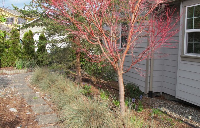 ***PENDING APPLICATIONS***4BD/3BA Home with Amazing Peek-a-boo Views of Harbor