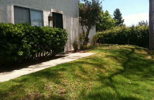 7837 Camino Huerta