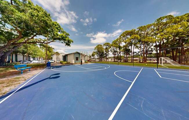 Community basketball court at Oasis at Bayside in Largo, FL.