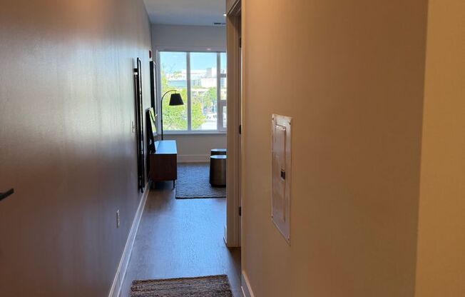 1 bed, 1 bath, 569 sqft, $1,999, Unit 305