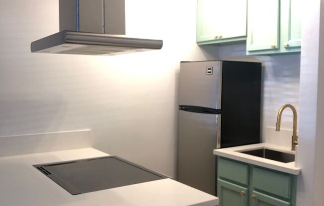 Studio, 1 bath, 425 sqft, $1,700, Unit Unit #110A