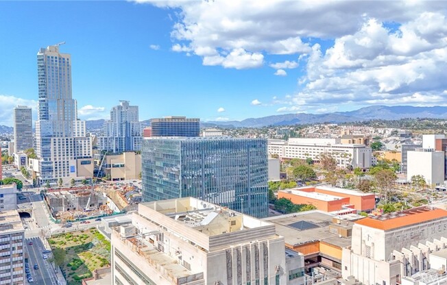 Studio, 1 bath, 790 sqft, $2,400, Unit 803