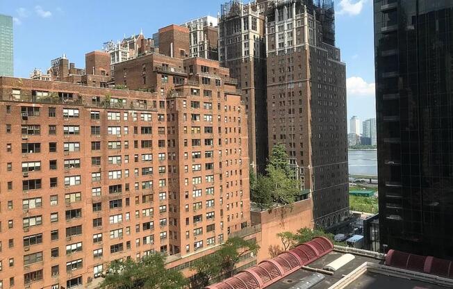 1 bed, 1 bath, $3,950, Unit 8H