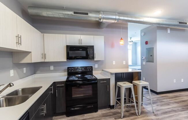 Studio, 1 bath, 487 sqft, $1,550, Unit 201 (Furnished)