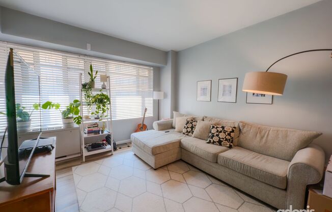 Modern, Light-Filled Junior 1BR in Prime Dupont Location