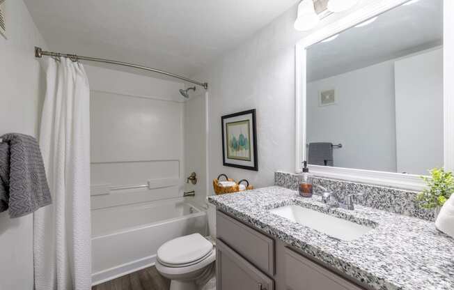 a bathroom with a sink and a toilet and a bath tub