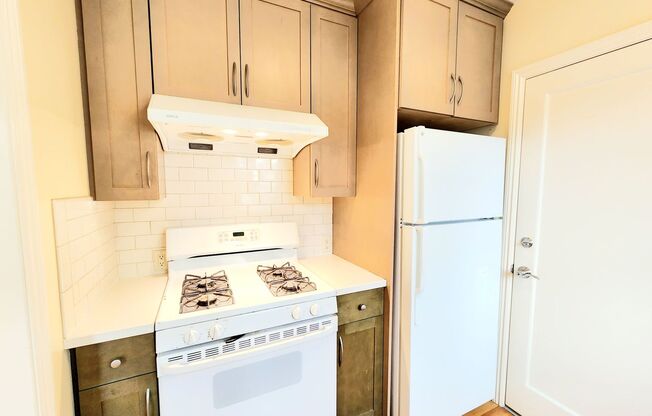 Amazing 1 bedroom with private backyard and garage