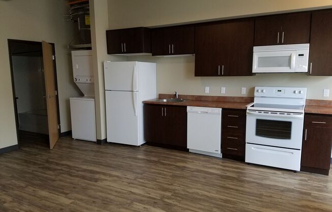 Studio, 1 bath, 460 sqft, $1,200, Unit 2-106W