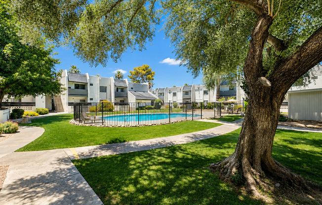 Studio, 1 bath, $1,095, Unit MV C 4