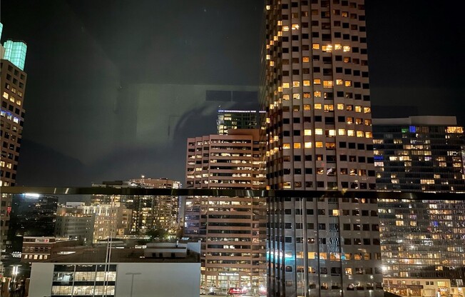 Studio, 1 bath, 491 sqft, $3,200, Unit 1123