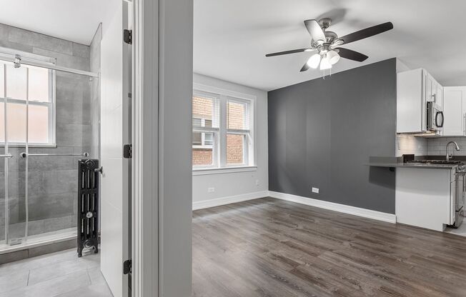 Studio, 1 bath, 311 sqft, $1,450, Unit 209