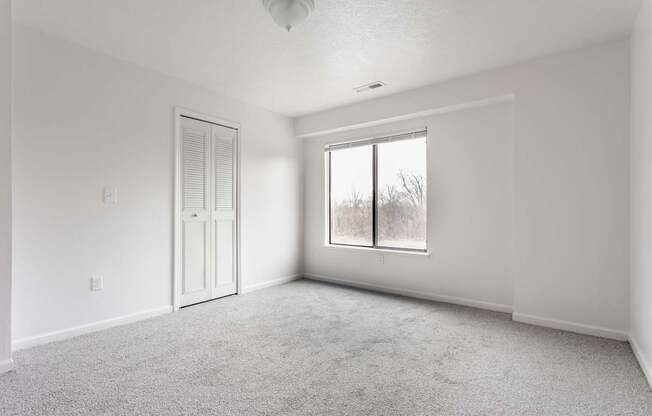 A white room with a carpeted floor, a door, and a window.