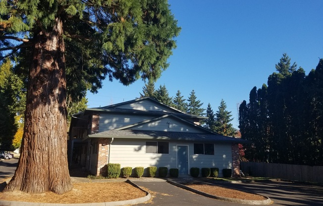 3 beds, 1.5 baths, 1,450 sqft, $1,850, Unit 01