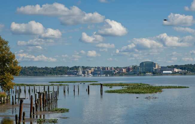 Sea Shore at The Thornton, Virginia