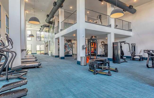 A gym with a blue carpet and various exercise equipment.